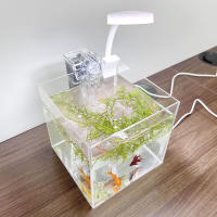 Acuario Ecológico De Acrílico Transparente Para Escritorio De Oficina Pequeño Tanque De Agua Con Hierba Para Camarones Y Tortugas - details 0