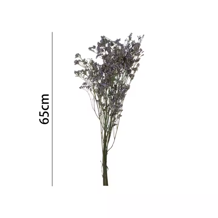 Poenia Arte Floral - Flor Seca Lomonium 65CM - Flores Preservadas - REF 7197 - Durabilidad prolongada - Apariencia natural - Sostenibilidad - Fragancia Natural - 1