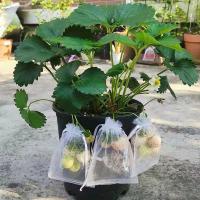 Malla De Protección Para Frutas Y Verduras 30Pcs Juego De Bolsas De Cultivo De Plantas Con Red Antipájaros Para Jardín Agricultura Tamaño 10x15CM 20x30CM Colores Blanco Verde Fruta Oscuro Verde - details 10
