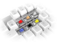 Newskill Gungnyr TKL Pro Ivory  Switch Red  Teclado Gaming Optomecánico - details 4