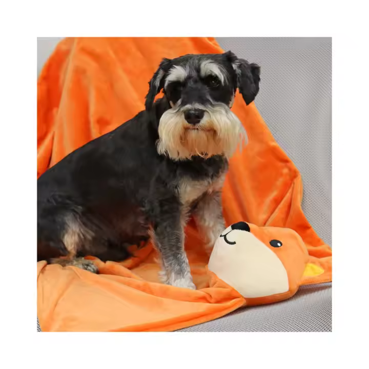 CROCI - Baby Tails (117x68,5 cm) - Manta Suave y Acogedora para Perros Cachorros con Cabeza de Juguete de Peluche (2 Diseños) - 1