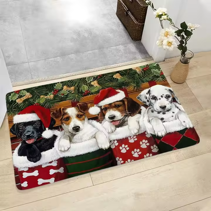 VIKAMA Alfombra Pequeña Decorativa Para El Hogar De Diatomeas Absorbente Antideslizante Para Baño Entrada Cocina Material PVC Resistente Al Desvanecimiento Lavable - 1