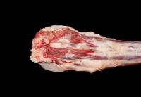 RABO DE TERNERA - ESPECIAL ESTOFADO - TOLECARNES - details 1