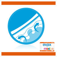 Evax Salvaslip Maxi Protegeslips 3x72 Unidades - details 0