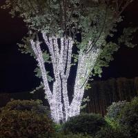 Luces De Cadena LED Para Año Nuevo EU Plug 2026 Decoración De Calle Exterior Navidad Fiesta Bodas Luces De Navidad Multicolor Blanco Cálido - details 8