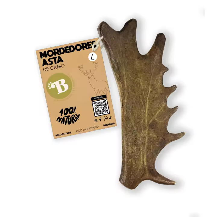 BIMORDISCOS Pet Products - Asta de Gamo para Perros - Juguetes para Perros - Mordedores para Perros - Huesos para Perros - Cuernos para Perros - 1
