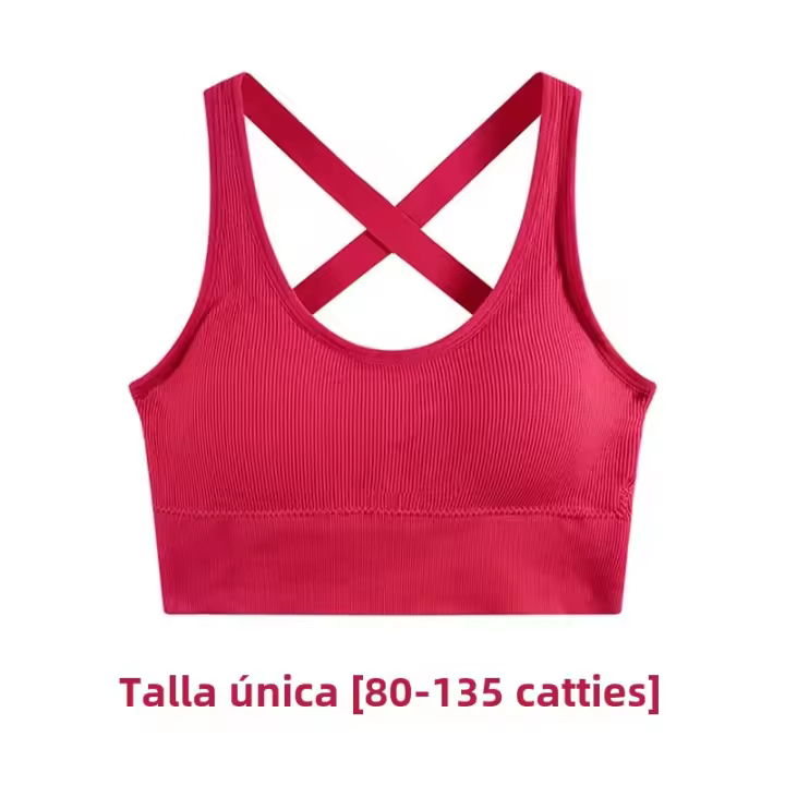 Top De Yoga Para Mujer Fitness Cropped Shockproof Deporte Sin Mangas Chaleco De Entrenamiento Sexy Espalda Cruzada Running Vest Material Nylon Spandex Secado Rápido Talla Verdadera - 1