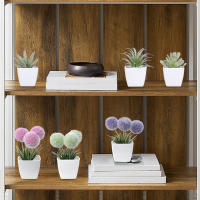 Set De Decoración Para El Hogar Con Plantas Simuladas En Maceta Para Escritorio De Oficina Ventana Foyer Jardín Courtyard - details 4