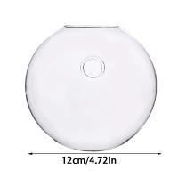 Vaso De Hierro Hidroponía Transparente Para Acuarios Pequeños En Pared Con Plantas Y Peces Juego De Decoración Para El Hogar - details 10