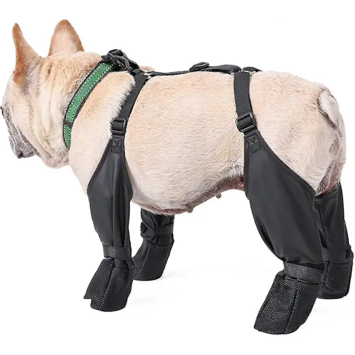 Botas de Invierno antiteslizantes para Perros, BOTAS impermeables para Perros with Correos auxiliares, Zapatos resistentes para Perros with Suela de Goma, Zapatos de senderismo para Perros a prueba de Caídas - 1