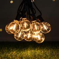 Luces De Cadena LED G40 De Plástico E12 110V US 220V EU Impermeables Y Resistentes Al Choque Para Decoración De Jardín Exterior - details 1
