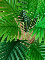 1pc Grande Planta Artificial De Palma Hojas Falsa Tropical Imitación De Hoja De Palmera Para Decoración De Piso Del Hogar 70-120cm - details 9