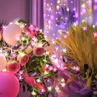 Luces De LED En Forma De Flor De Cerezo 1pc Decoración De Jardín Y Interior Luces Faeiritas Para Mujer Enamorada De Hogar Y Jardín - details 1