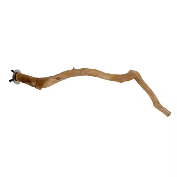 Soporte para Pájaros Resistente Al Desgaste para Periquitos, Cacatúas y Más - 1