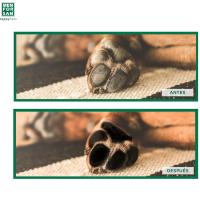 Menforsan Gel Protector De Almohadillas 60 Ml. - Nuevo envase con Dosificador - details 1