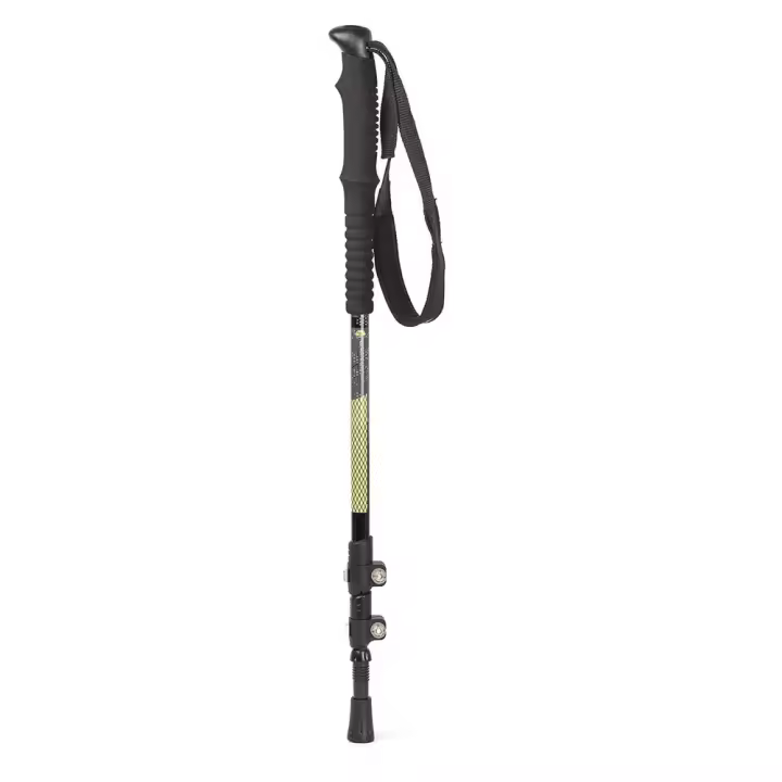 Material senderismo Bastones Ternua Bastones Enkan Plateado Unisex - 1