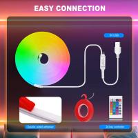 Lámpara De Neón LED RGB Flexível Con Control Remoto De 24 Teclas Y Tubo De Silicona Para Decoración De Iluminación Retroiluminada En El Hogar - details 0
