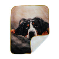 Manta Para Perros Impermeable Bucephalus Reversible Suave Y Lavable Protección Para Sofá Manta Para Gatos Y Perros Con Patrón De Animales - details 33