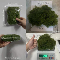 Plantas Artificiales Verdes Alrededor De 20g Poliéster Moqueta Hierba Para Decoración De Hogar Sala De Estar Jardín Mini Paisaje Flores Falsas DIY Artesanía - details 14