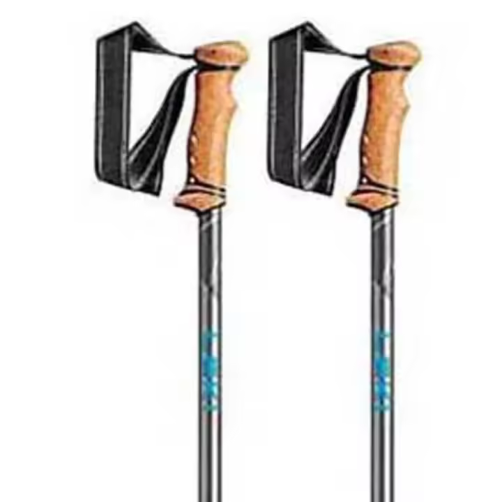 Material senderismo Bastones Leki Bastones Legacy Gris Unisex - 1