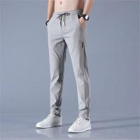 Pantalones Casuales Para Hombre De Seda Con Hielo 2024 Verano Negro Gris Delgados Negocios Casual Pantalones Rectos Elásticos Transpirables Para Exteriores - details 3
