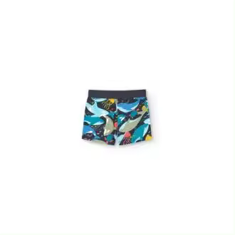 Bermudas punto flamé de bebé niño -BCI - 1