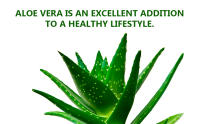 B.O.T Cosmetic & Wellness - Jugo de Aloe Vera 100% Natural  Rico en Vitaminas y Minerales  DETOX Ideal para Cosmética Casera - details 1