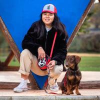 Correa para Perros Disney Mickey Mouse Cerdá - details 3