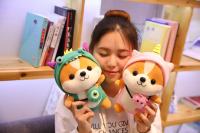 Muñeco De Peluche De 25cm Squirrel Shiba Inu Perro Corgi Cojín Suave Para Niños Regalo De Navidad Kawaii Valentin - details 20