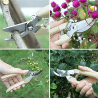 Tijeras De Podar Acero Inoxidable Herramientas Manuales Para Bonsái Jardinería Flores Ramas Hierba Uso En Trabajos De Carpintería - details 8