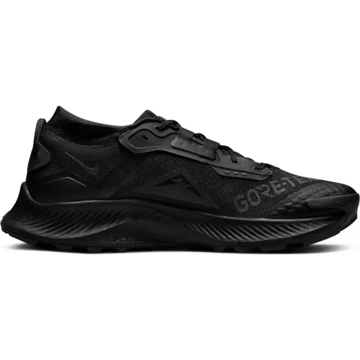 Nike Pegasus 3 Gtx - 1