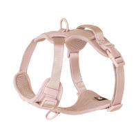 Juego de 5 Correas y arneses para Perros Macaroon, Talla única, rose color - details 1