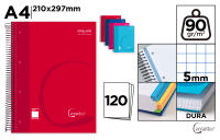 LILI HOME Pack de 2 Libretas de Tapa Dura o Tapa PP Cuadriculadas de 5 mm A4 21 x 29.7 cm 120 hojas por libreta 90 g/m² Clasificadas por 4 colores en el borde de cada hoja para una fácil identificación y organización. - details 2