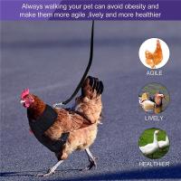 Harnés Ajustable Para Perros Pequeños Y Pollos Con Correa Cómodo Transpirable Chaleco Para Entrenamiento De Mascotas Como Pato Ganso Y Pollo - details 2
