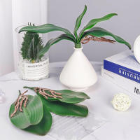 1Pcs Gran Tamaño Artificial Filo De Orquídea Falsa En Latex Toque Real 5 Pétalos Verde Para Jardín De Flores Simulación De Moth - details 5
