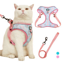 Nueva Llegada De Correa Y Amigo De Mascota Ajustable Con Diseño Moda En Malla Suave Para Gatos Y Perros Conjunto De Correa Y Amigo De Mascota - details 1