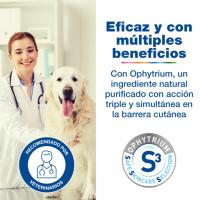 DOUXO S3 CARE SHAMPOO (200ml) - Champú indicado para baños habituales de perros y gatos - details 2