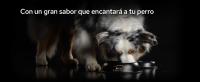 PURINA PRO PLAN Suplemento Perro Skin&Coat 250ml. Proplan suplemento - Suplemento para apoyar la salud de la piel y pelo - details 3