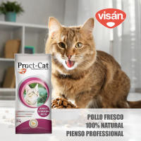 Proct Cat Pienso para Gato Adulto con Pollo, 4kg, 20kg, Pienso seco para Gatos - details 0