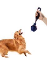 Juguete Para Perros Interactivo Con Correa Bola De Limpieza Dental Resistente Mordedor Para Pequeños Y Grandes Perros Juguetes De Entrenamiento Para Puppies - details 3
