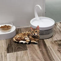 Fuente De Agua Para Gatos Y Perros Con Filtro Interno Y Bomba Silenciosa Ultra-Quieta 2L Dispensador De Agua Para Mascotas - details 4