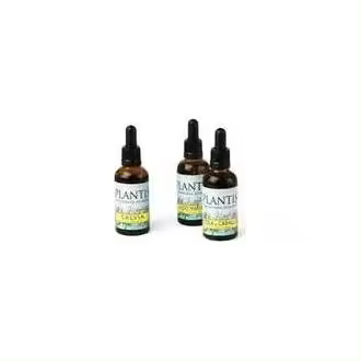 Ext.Ginkgo Biloba 50Ml Maese Herbario - 1