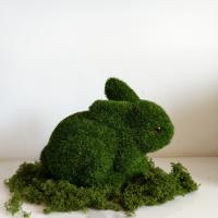 Estatua De Conejo Verde De Pascua Para Jardín Decoración De Fiesta Familiar Figura De Animales Hecha De Fibra Vegetal - details 5