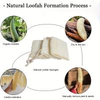 4Pcs Esponja De Luffa Natural Exfoliante De Baño Escobilla De Limpieza Para Cocina Esponja Orgánica De Egipto Para Lavar Utensilios De Cocina - details 1