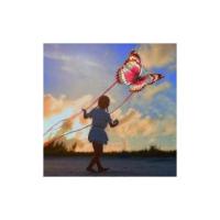 Butterfly Kite para juegos y actividades al aire libre - details 1