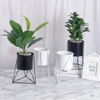 Soporte De Metal Para Maceta Simplicidad Elegante Soporte De Hoja Para Plantas Interiores Estilo Minimalista - details 3
