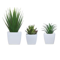 Set De 3 Plantas Miniatura En Macetas Simuladas Para Decoración De Hogares Restaurante Mesas Ventanas Y Estantes Material Plástico Estilo Bonsái - details 33