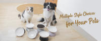 DDMOMMY CAT BOWL