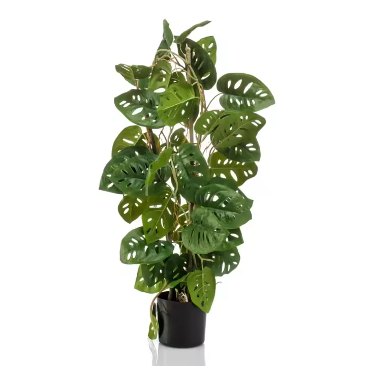 Monstera Esmeralda mono artificial en macota 75 cm - 1