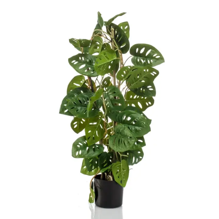 Monstera Esmeralda mono artificial en macota 75 cm - 1
